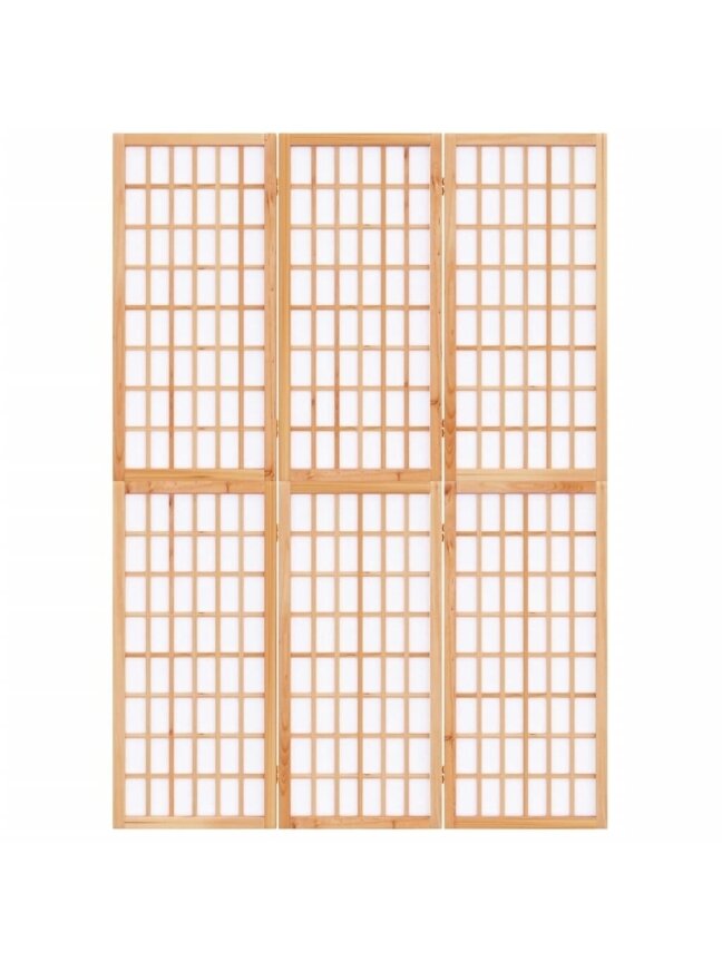 Kambario pertvara, 3 segmentai, 120x170cm, japoniška 3