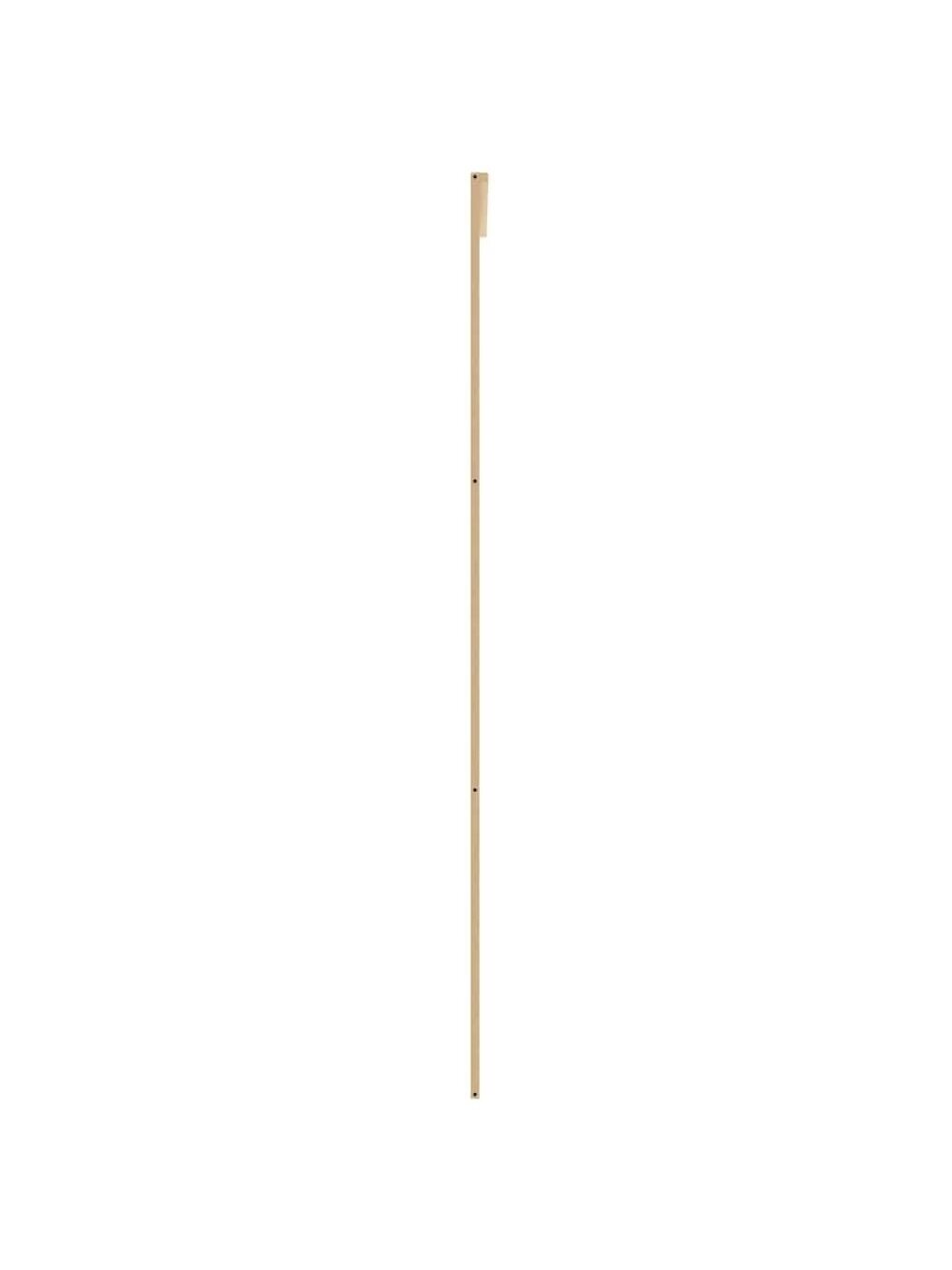 Stumdomos durys, auksinės, 102,5x205cm, ESG stiklas/aliuminis 4