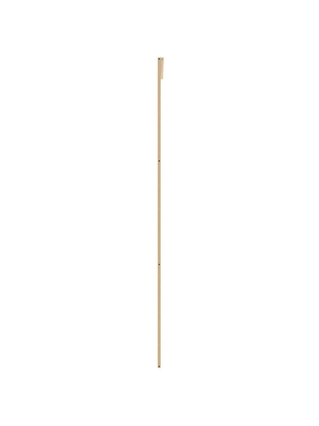 Stumdomos durys, auksinės, 102,5x205cm, ESG stiklas/aliuminis 4