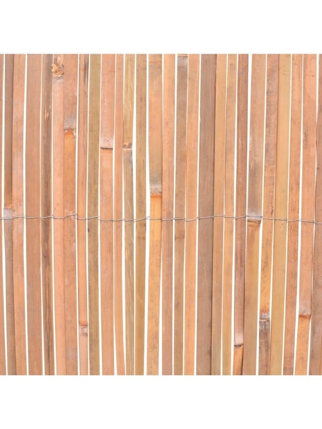 Aed, 100 × 600 cm, Bambus 3