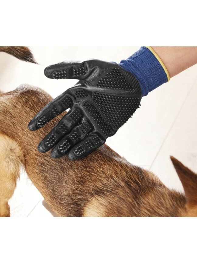 Zoofari loomade hoolduskindad 4